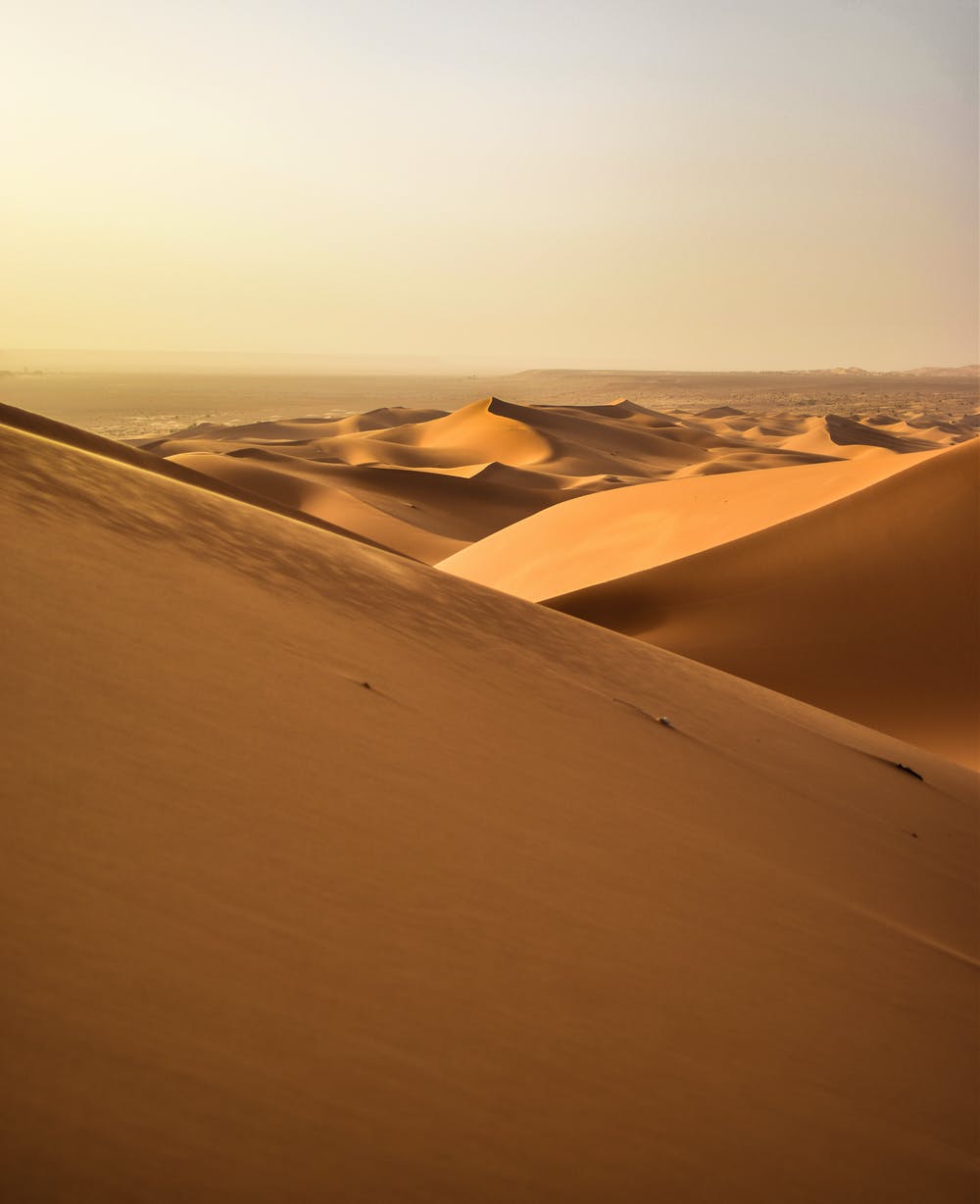 Dune Movie Review – The Legend