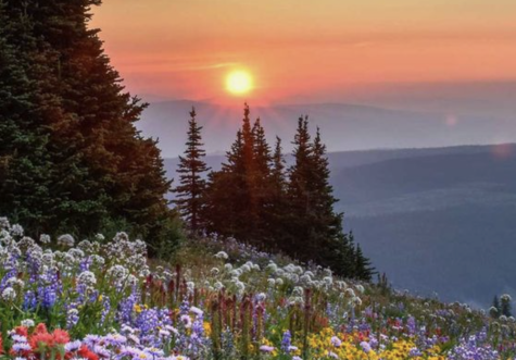 Beautiful and Bright
