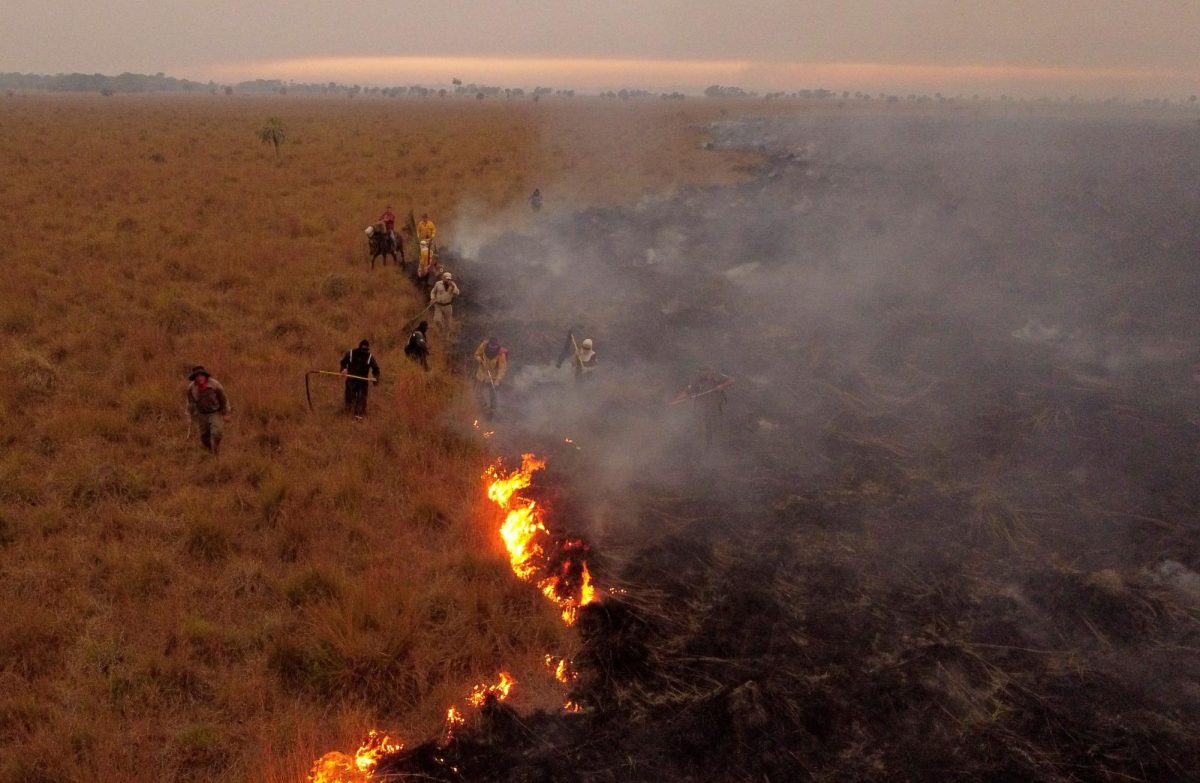 Wildfires+Devastate+Argentina