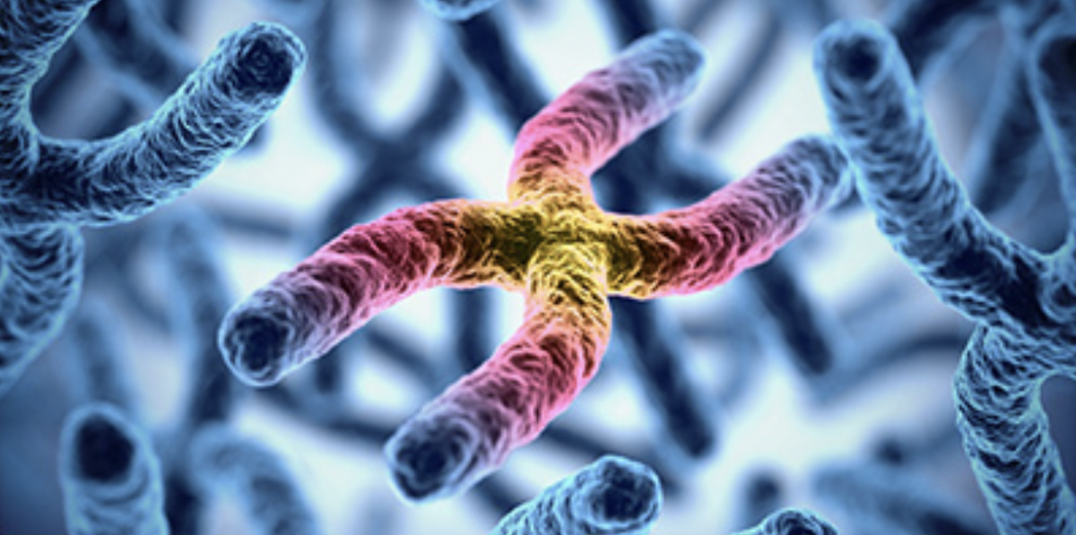 Hope on the Horizon: How New Discoveries are Changing the Future of Huntington’s Disease